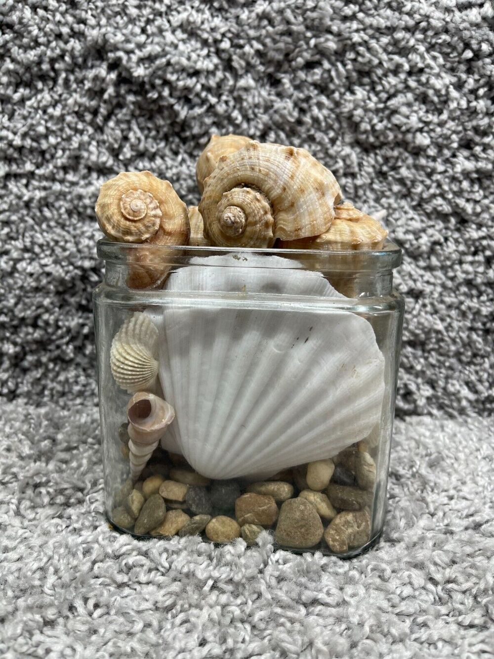 Craft Assorted Seashells Clear Glass Jar Collectible Home Decor